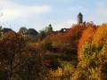 Thumbs/tn_Dsc09704.jpg